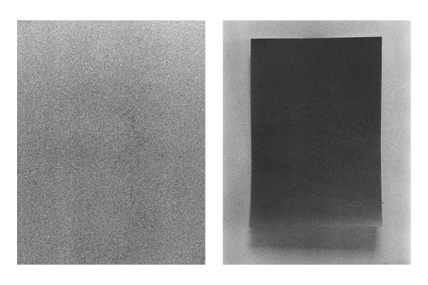 Profilbild von Franziska von den Driesch