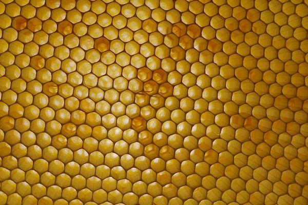 Profilbild von Jörg Wenke